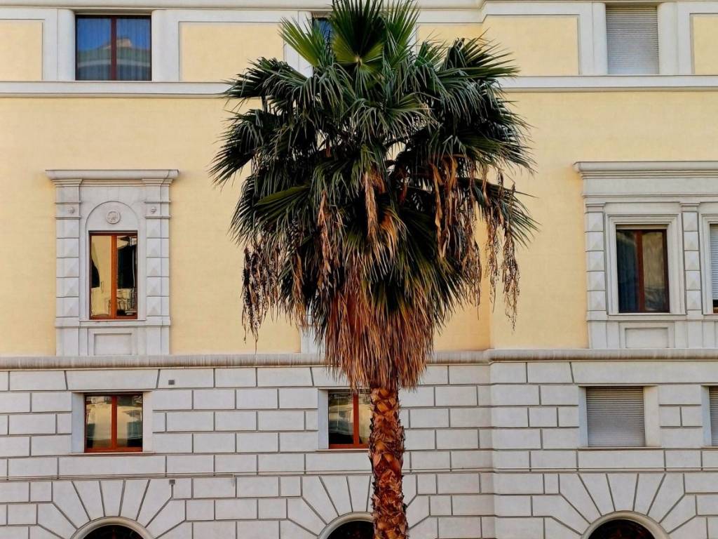 Appartamento a Salerno in Lungomare Trieste, 108 - Foto 2