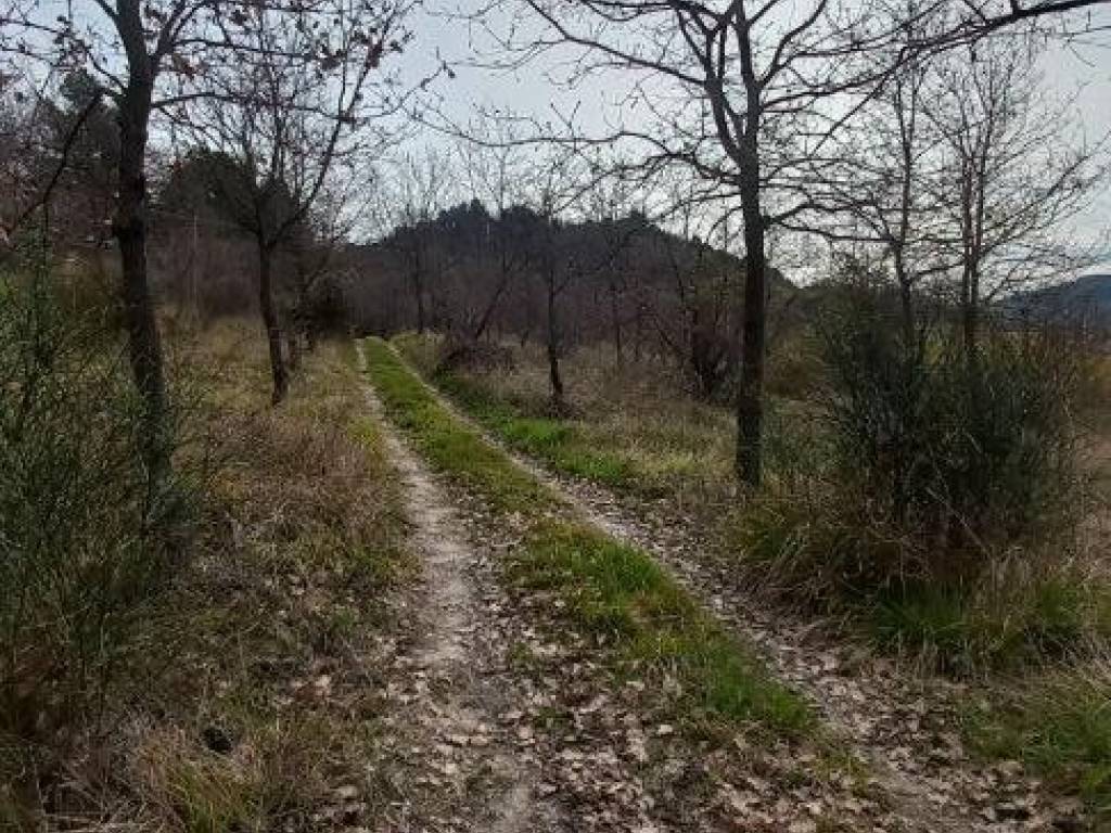 Terreno a Ancona in Via Montesicuro - Foto 1