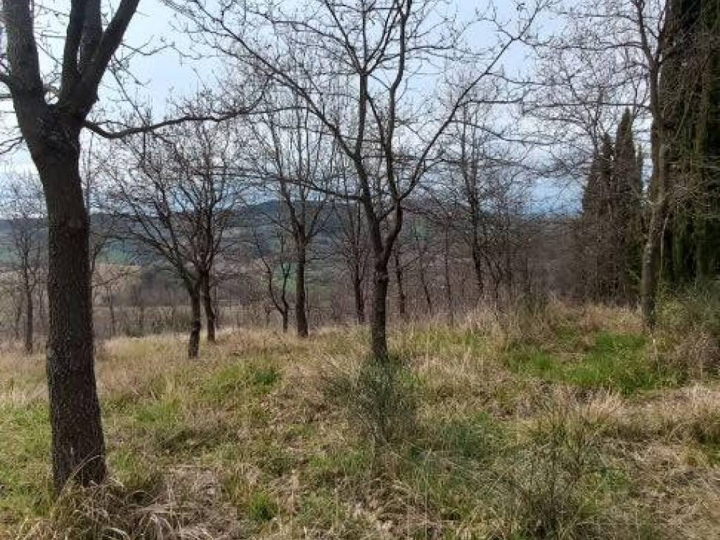 Terreno a Ancona in Via Montesicuro - Foto 2