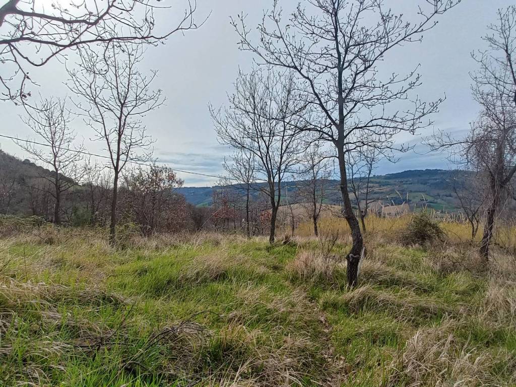 Terreno a Ancona in Via Montesicuro - Foto 3