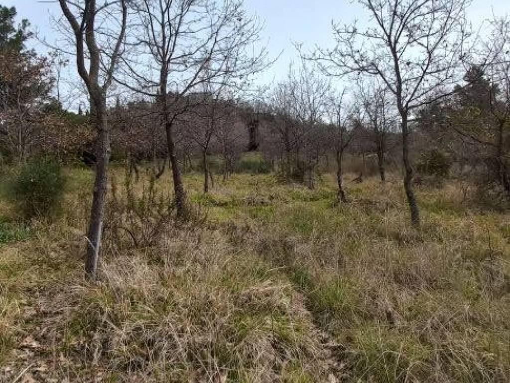 Terreno a Ancona in Via Montesicuro - Foto 4
