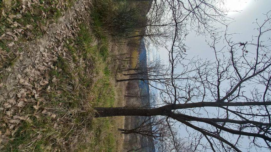 Terreno a Ancona in Via Montesicuro - Foto 5