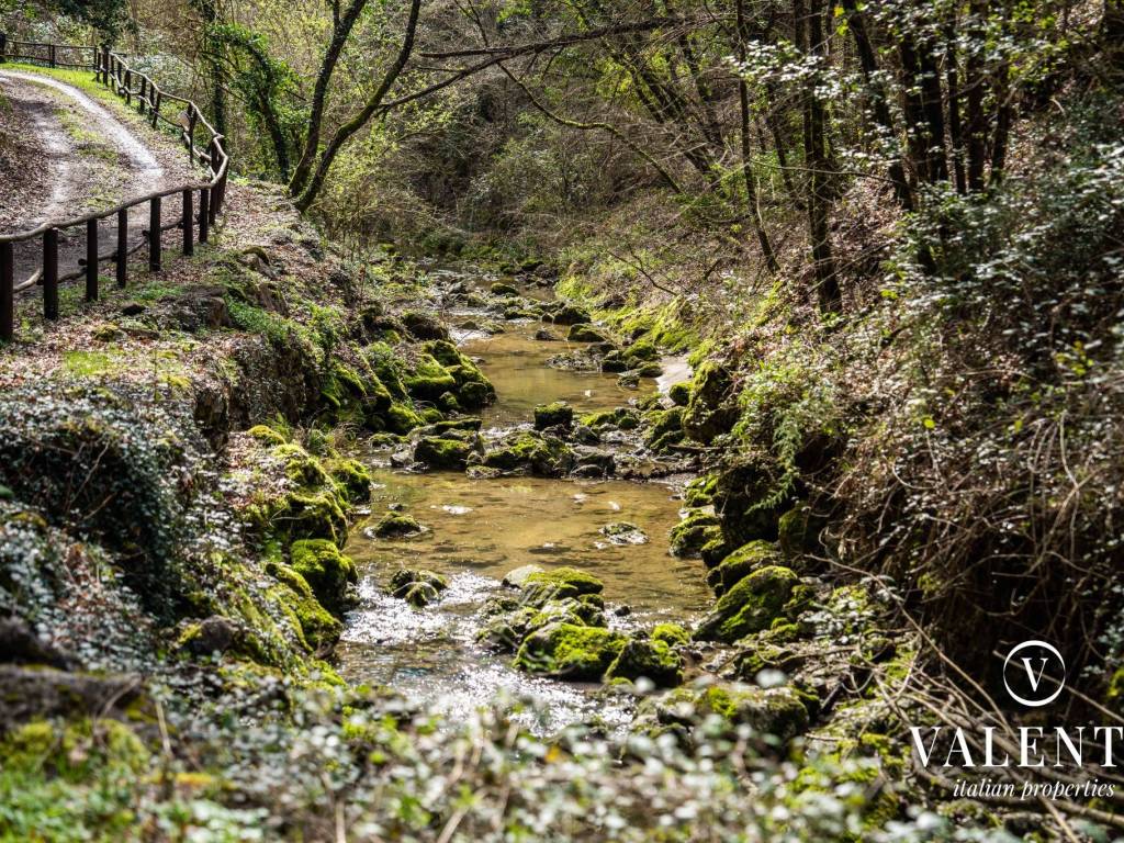 Rustico / casale a San gimignano in Località Molino-Racciano - Foto 5