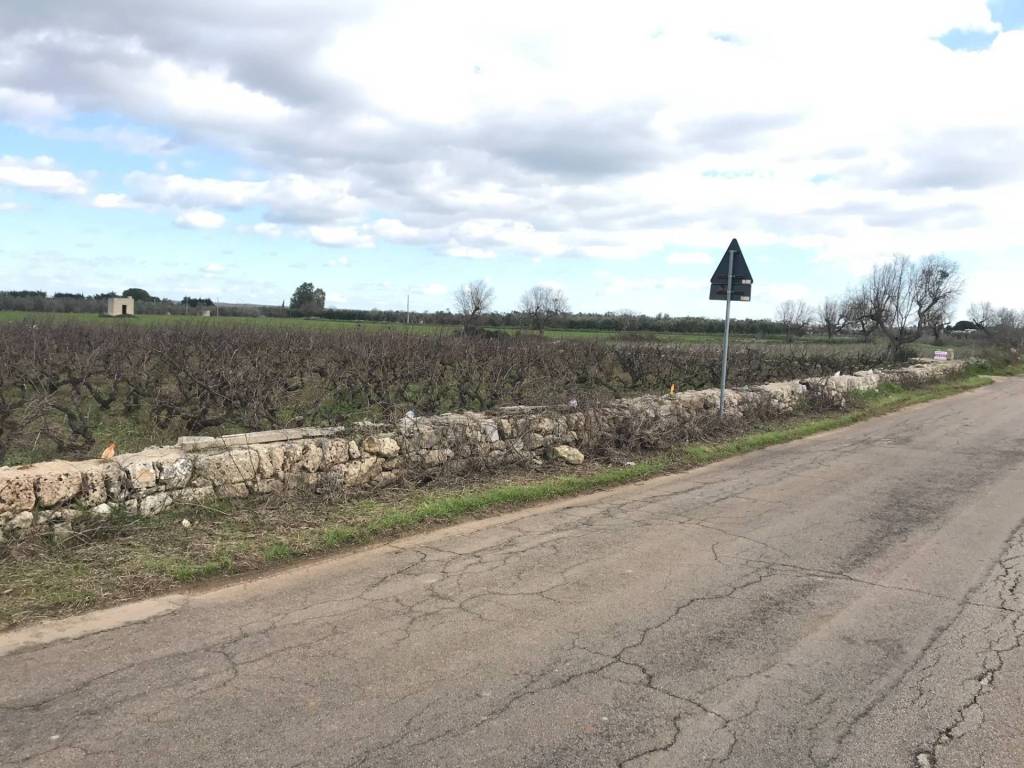 Terreno a Ugento in strada provinciale 291 - Foto 2