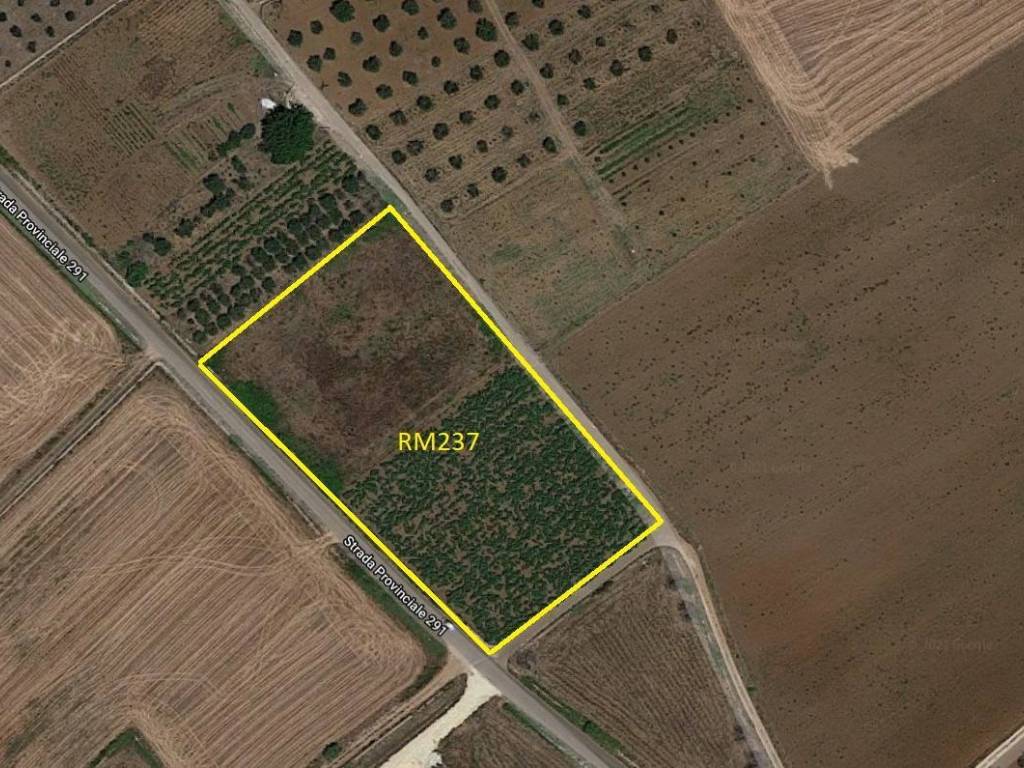 Terreno a Ugento in strada provinciale 291 - Foto 4