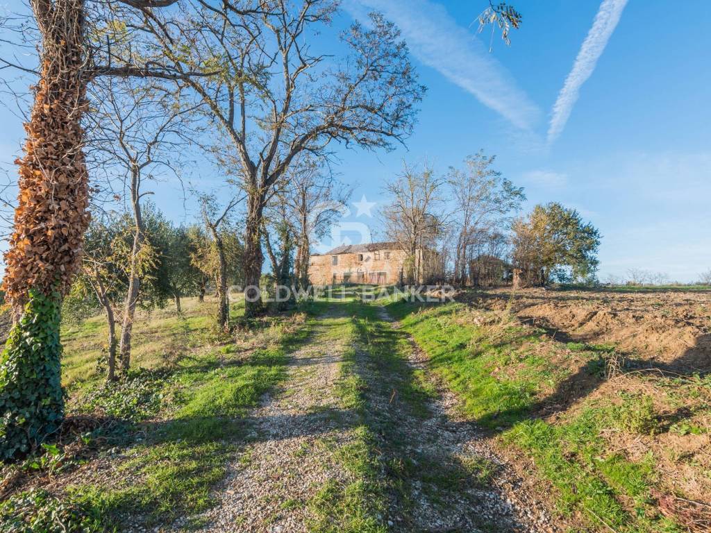 Rustico / casale a Mondavio in via Contrada Montericco, 7 - Foto 3