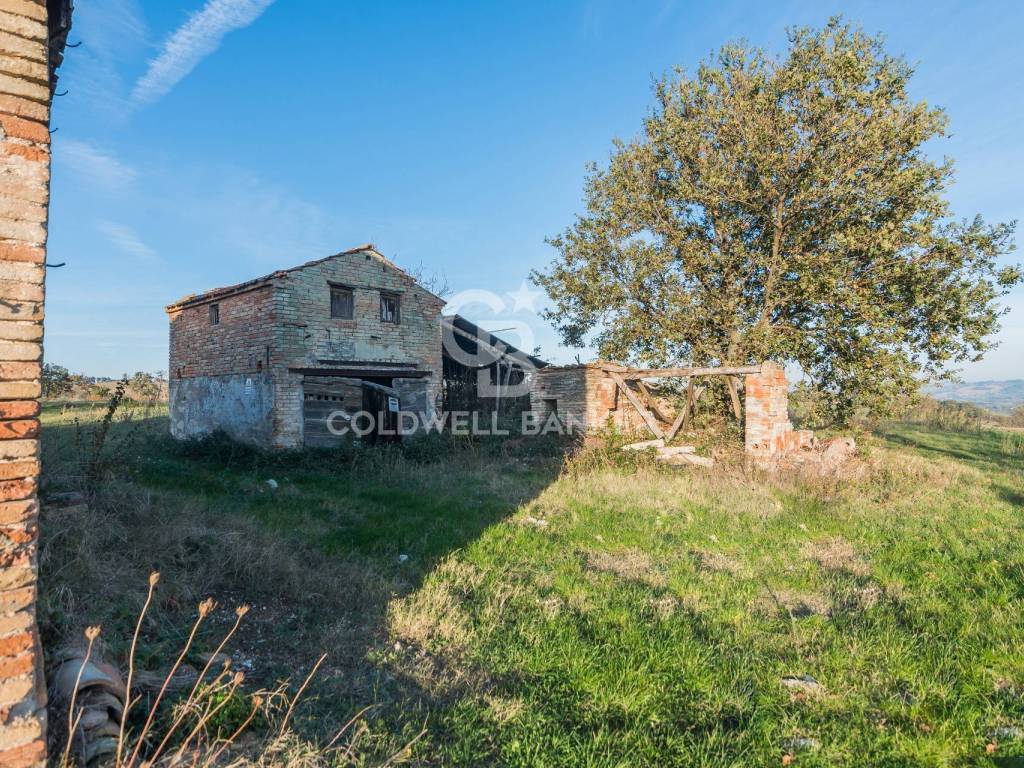 Rustico / casale a Mondavio in via Contrada Montericco, 7 - Foto 5