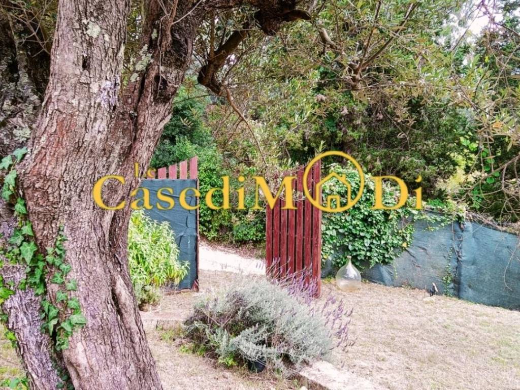 Terreno a Livorno in Via della Salvia, - Foto 5