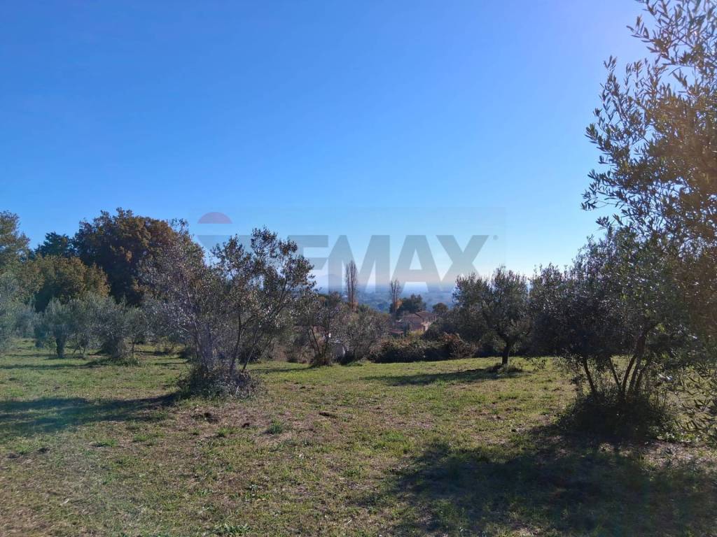 Terreno a Genzano di roma in Via Appia Antica - Loc. Montecagnoletto - Foto 2