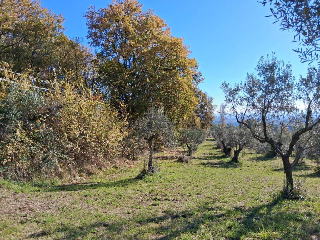 Terreno a Genzano di roma in Via Appia Antica - Loc. Montecagnoletto - Foto 3
