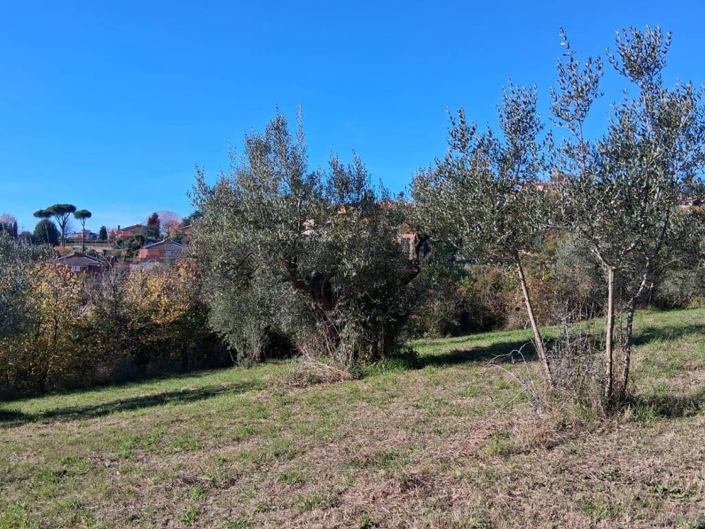 Terreno a Genzano di roma in Via Appia Antica - Loc. Montecagnoletto - Foto 4