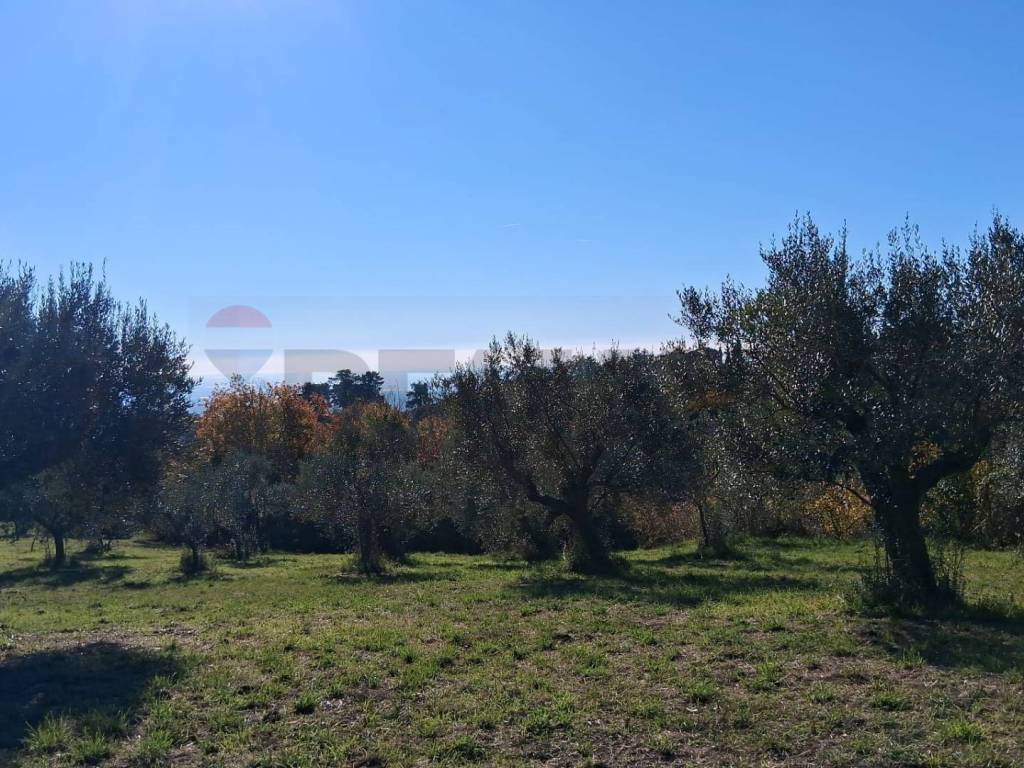 Terreno a Genzano di roma in Via Appia Antica - Loc. Montecagnoletto - Foto 5