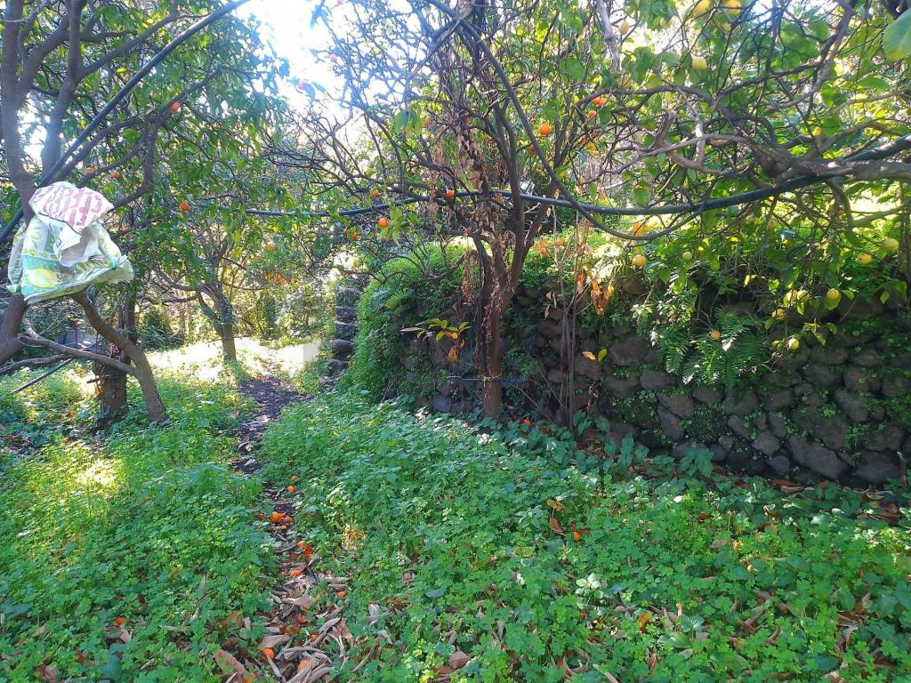 Terreno a Giarre in str. 61 - Foto 2