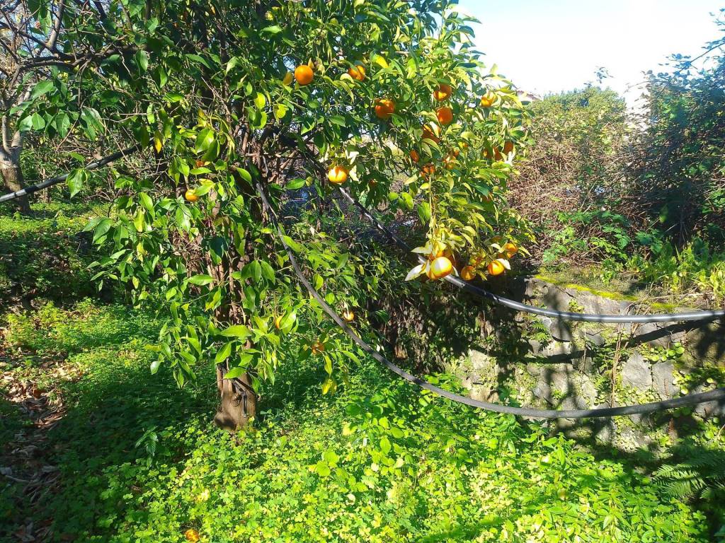 Terreno a Giarre in str. 61 - Foto 4