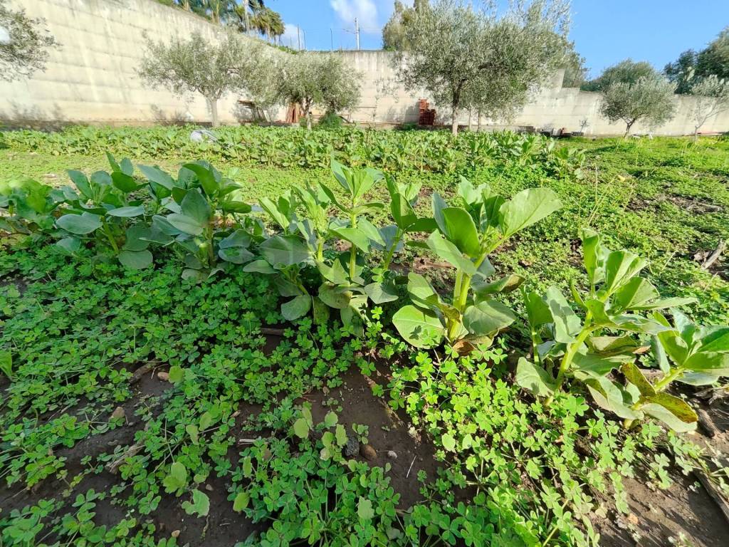 Terreno a Camporotondo etneo in Via Don Giovanni Bosco, 13 - Foto 5