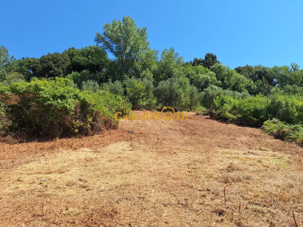 Terreno a Fauglia - Foto 2