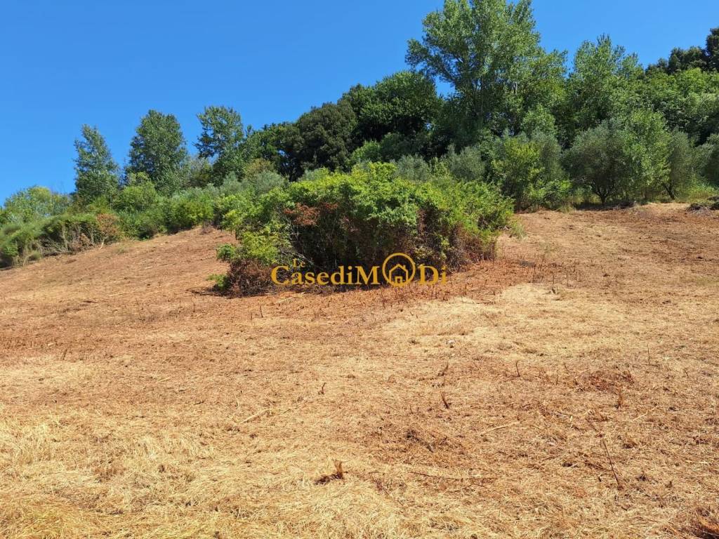 Terreno a Fauglia - Foto 3