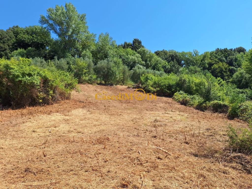 Terreno a Fauglia - Foto 5