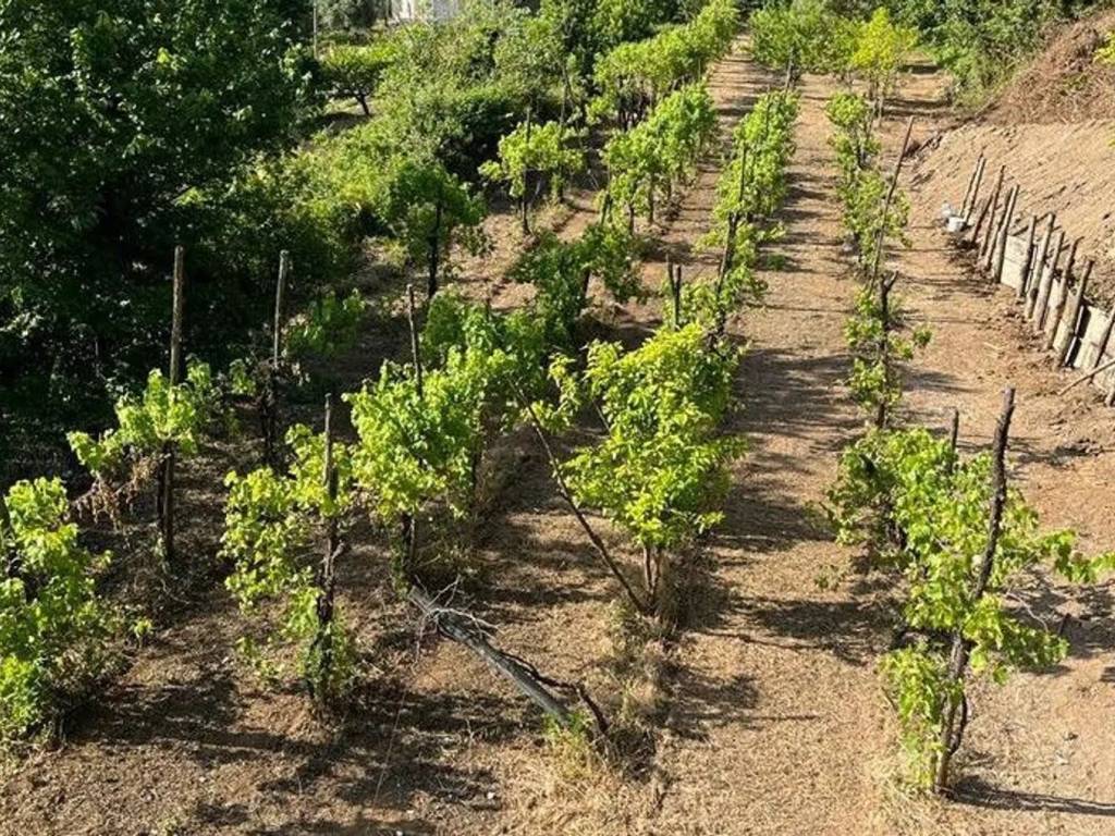 Terreno a Pellezzano in Via Casignano, 6 - Foto 2
