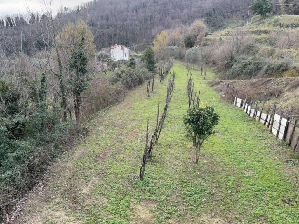 Terreno a Pellezzano in Via Casignano, 6 - Foto 3