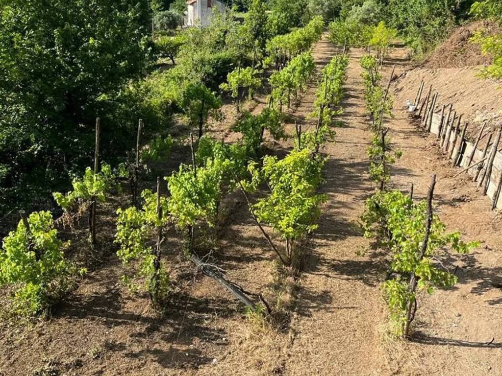 Terreno a Pellezzano in Via Casignano, 6 - Foto 4