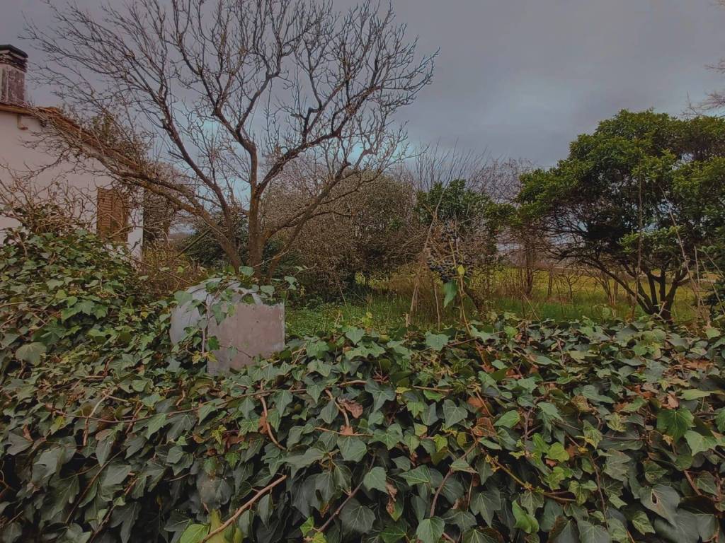 Villa a Latina in Strada Vozza, 449 - Foto 4