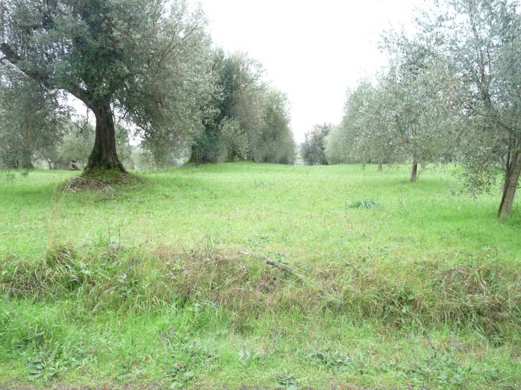 Terreno a Castiglione del lago in Via Giuseppe Garibaldi-Gioiella - Foto 2