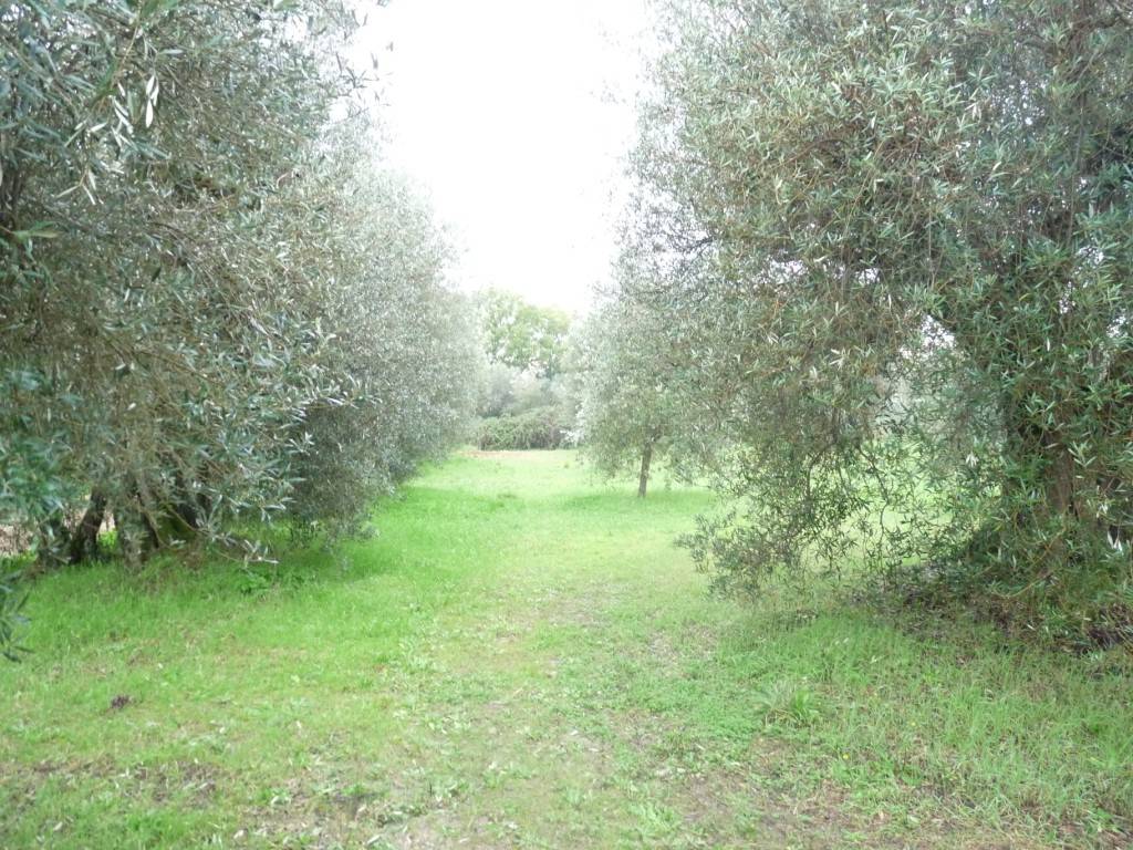 Terreno a Castiglione del lago in Via Giuseppe Garibaldi-Gioiella - Foto 3