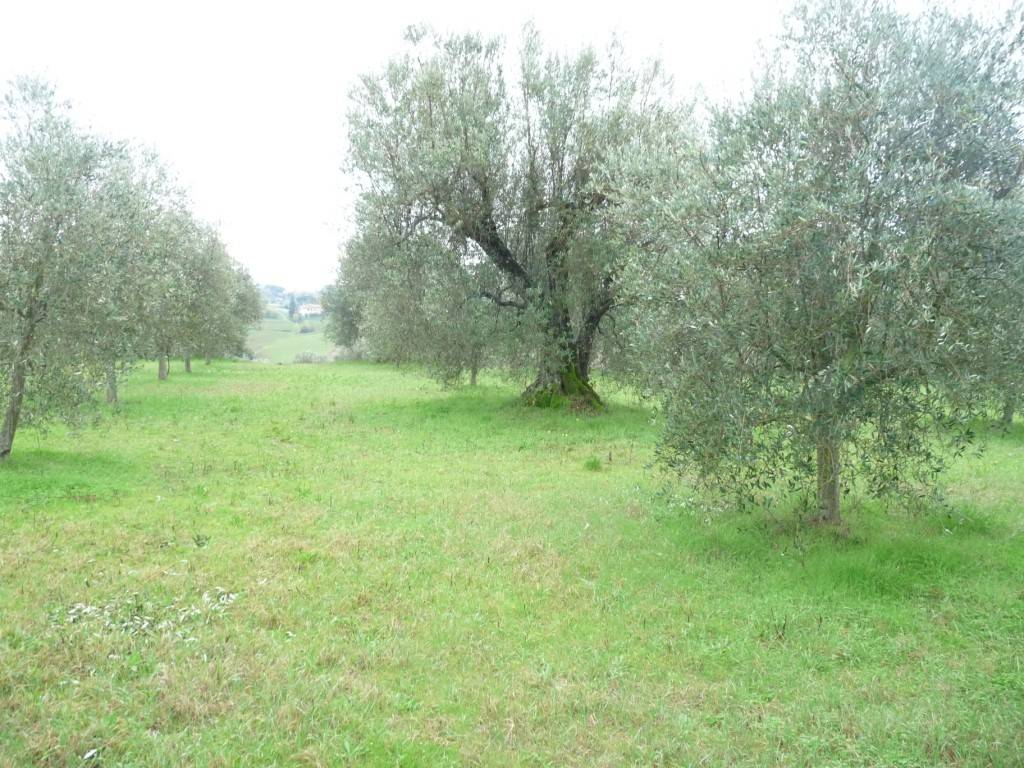 Terreno a Castiglione del lago in Via Giuseppe Garibaldi-Gioiella - Foto 4
