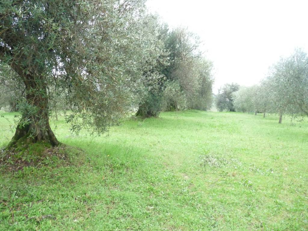 Terreno a Castiglione del lago in Via Giuseppe Garibaldi-Gioiella - Foto 5