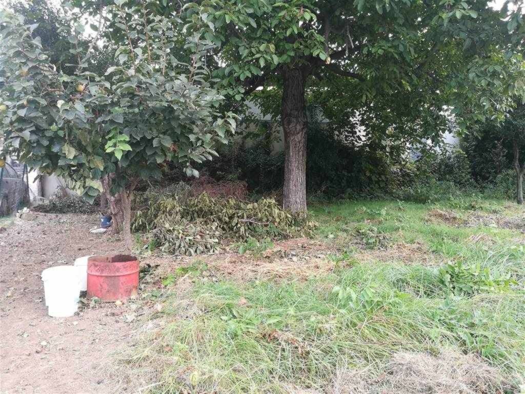 Terreno a Capodrise - Foto 2