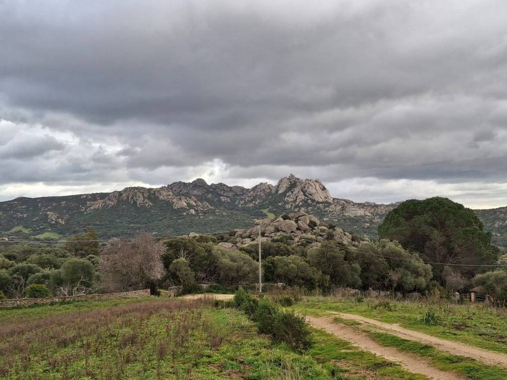 Rustico / casale a Arzachena - Foto 2
