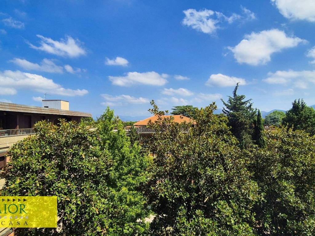 Appartamento a Pisa in Via Ludovico Lazzaro Zamenhof, 1 - Foto 5