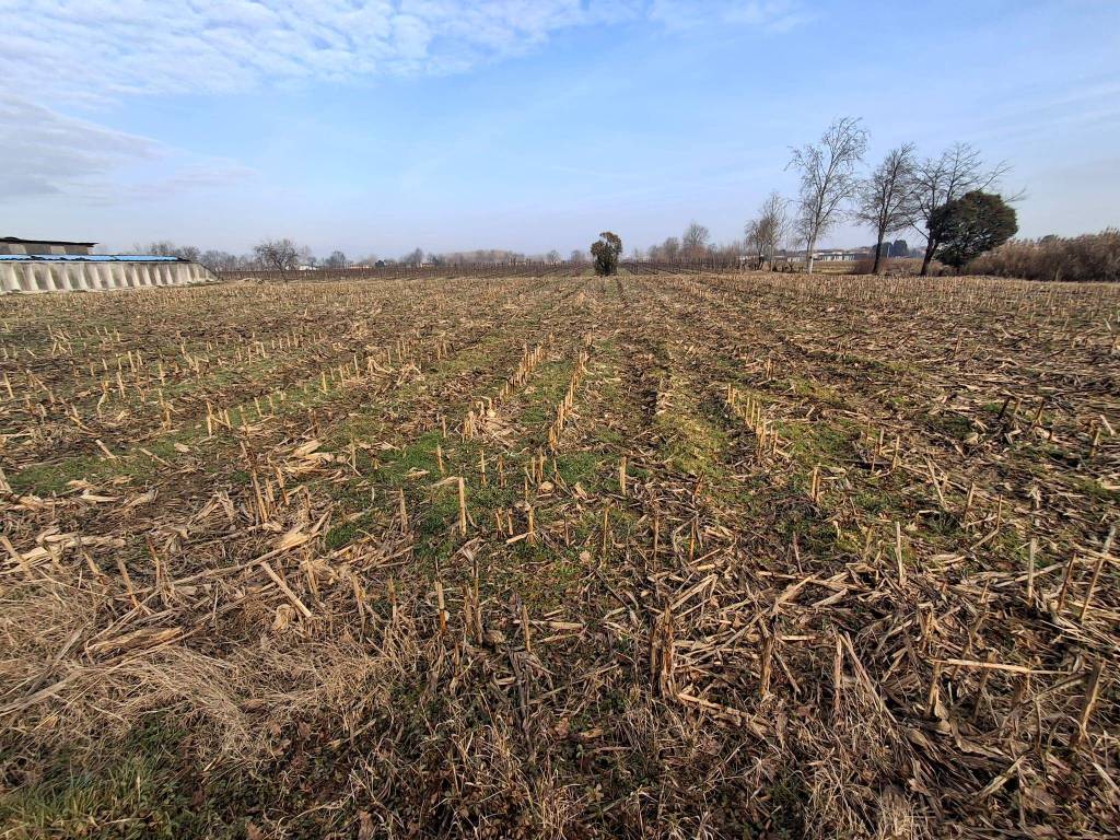 Rustico / casale a Trebaseleghe - Foto 5