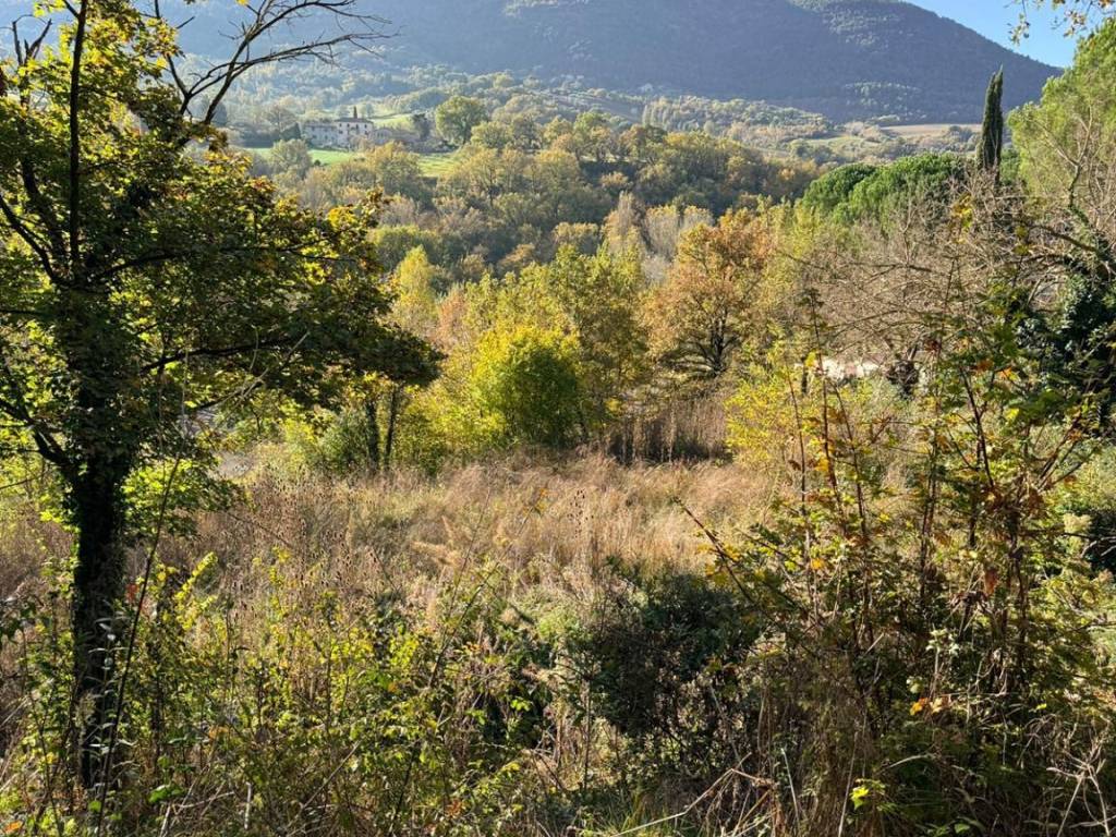 Terreno a Assisi in Località Pian della Pieve - Foto 2