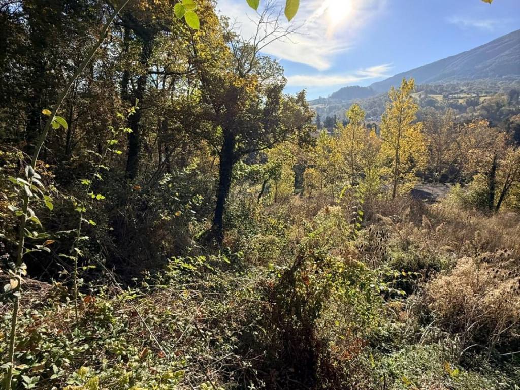 Terreno a Assisi in Località Pian della Pieve - Foto 4