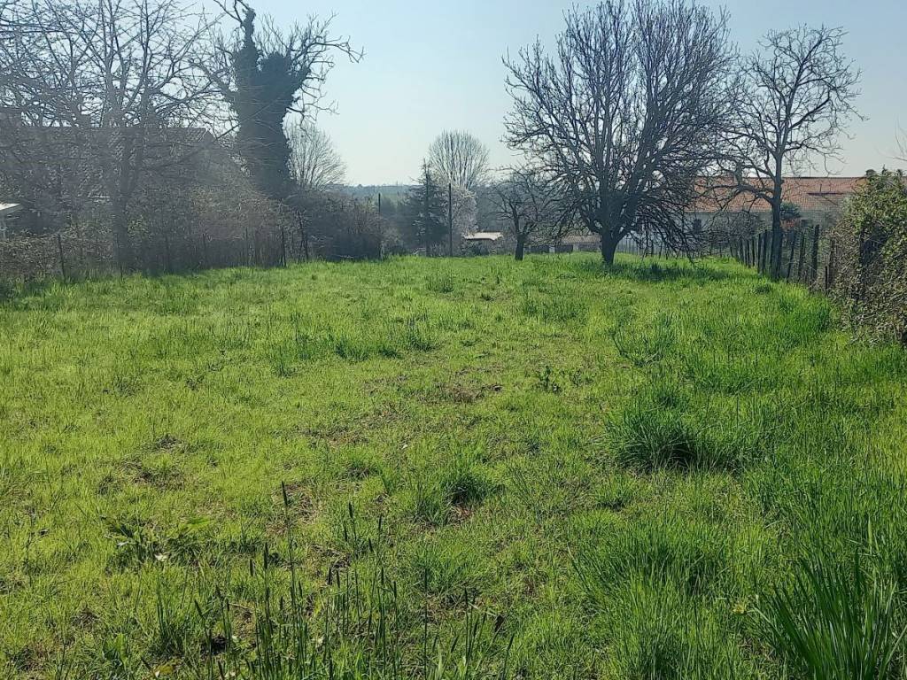 Terreno a Oleggio - Foto 2