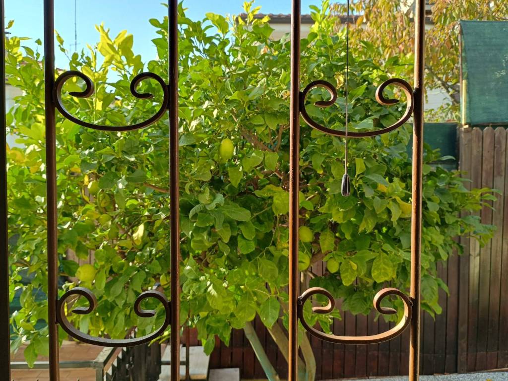 Casa indipendente a Castelfidardo - Foto 3