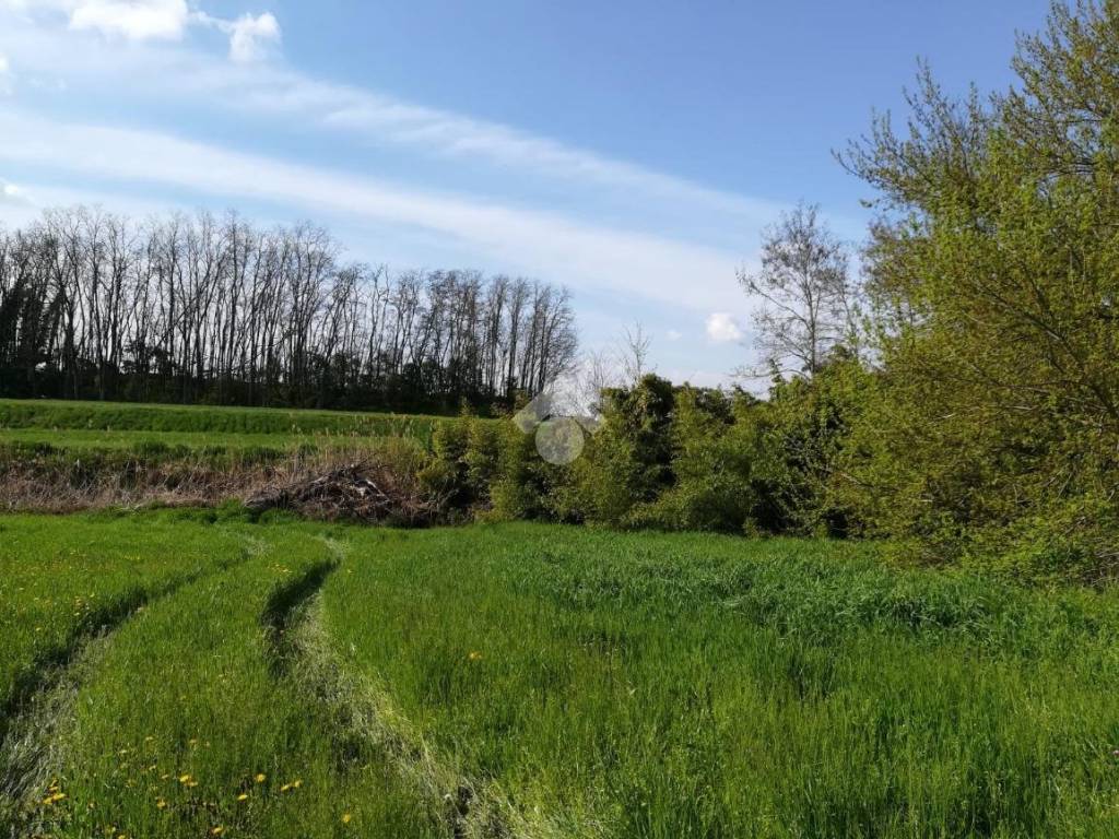 Casa indipendente a Pegognaga in Strada Viola Sacca, 49 - Foto 3