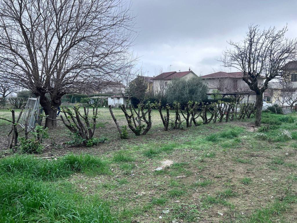 Terreno a Cartoceto in Via Madre Teresa di Calcutta, 10 - Foto 2