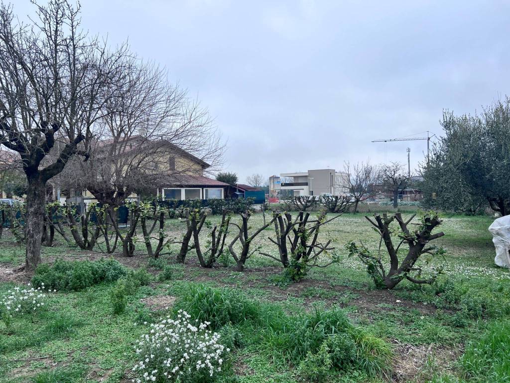 Terreno a Cartoceto in Via Madre Teresa di Calcutta, 10 - Foto 4