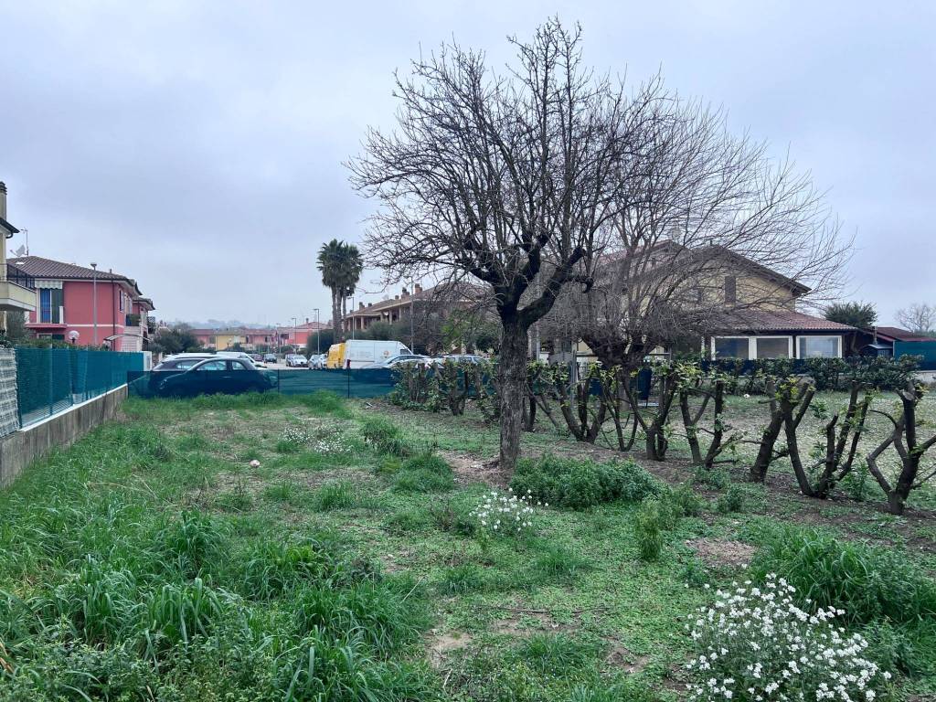 Terreno a Cartoceto in Via Madre Teresa di Calcutta, 10 - Foto 5