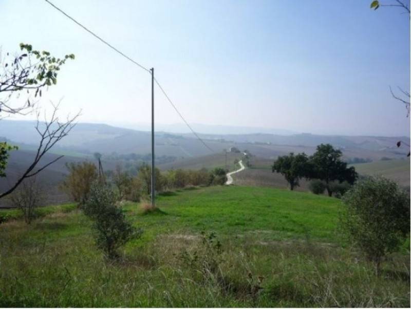 Rustico / casale a Belvedere ostrense in Via Montileo, 1 - Foto 3