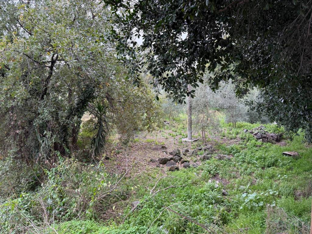 Terreno a Acireale - Foto 3