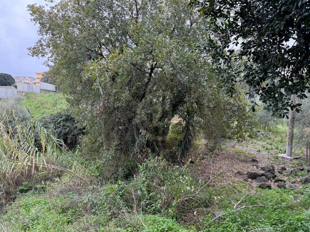 Terreno a Acireale - Foto 4
