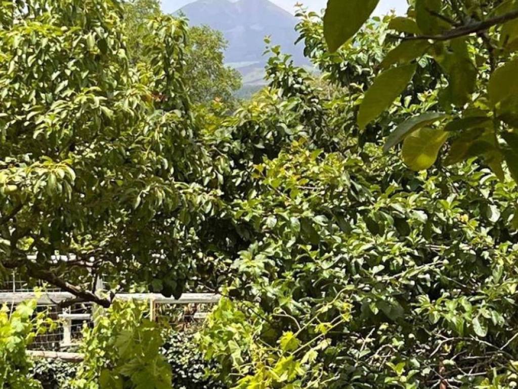 Terreno a Ragalna in contrada monte arso - Foto 2