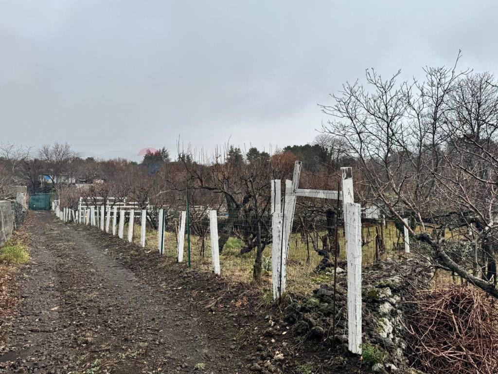 Terreno a Ragalna in contrada monte arso - Foto 5
