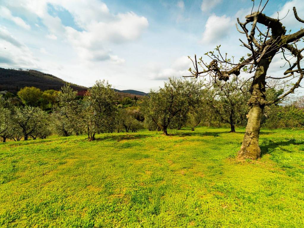 Rustico / casale a San cesareo in Calcara Muratelle, 18 - Foto 3