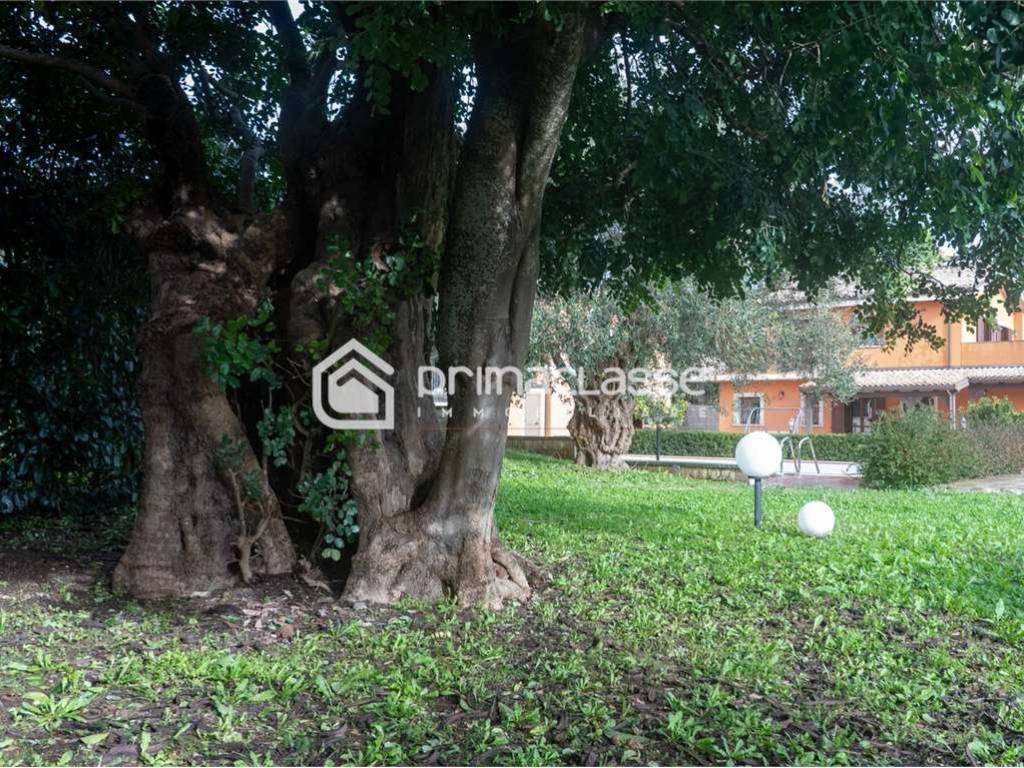 Villa a Modica - Foto 4