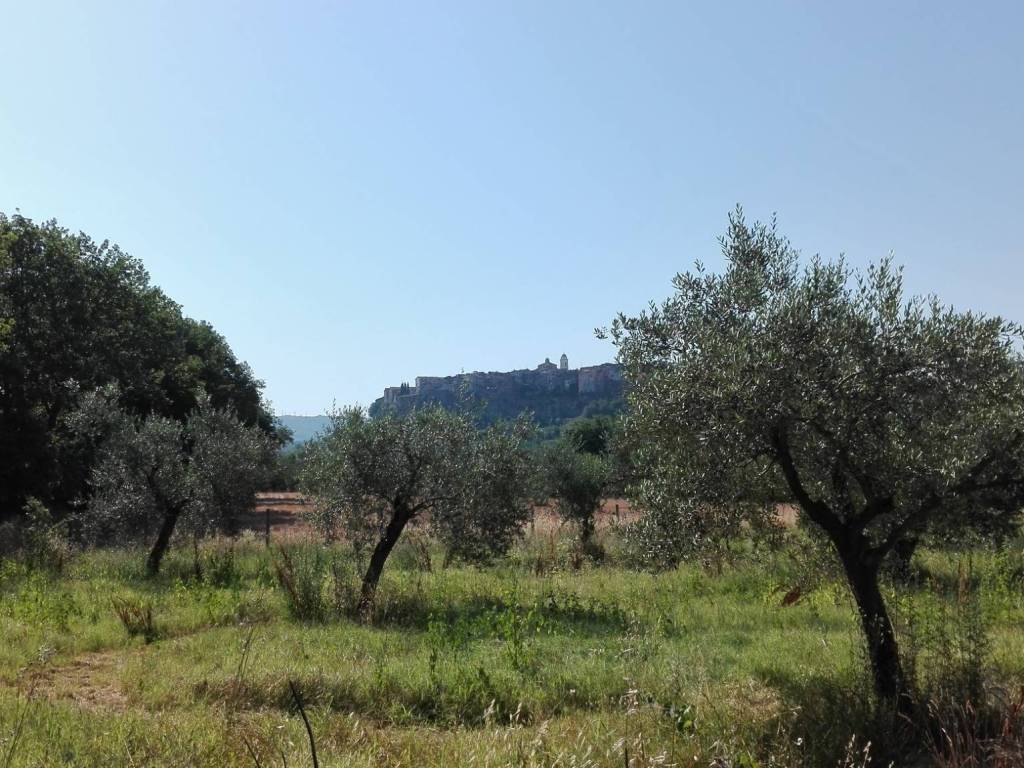 Rustico / casale a Orte in Via Mario Villani - Foto 5